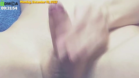 ornimegalonyx  19-12-2022